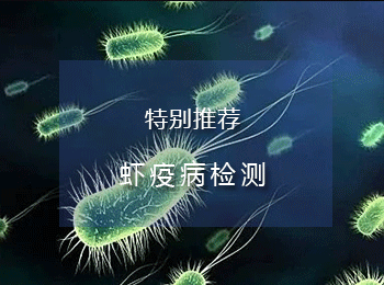 疫情:气温回升,外塘流行性虾病暴发,养殖户必须高度关注!