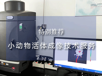 小动物活体动物荧光成像技术服务,专注一体化生物科研实验
