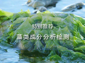 藻类营养成分分析检测,藻类叶绿素检测,褐藻酸检测