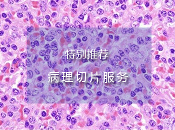 病理切片服务,HE染色,组织病理切片服务,免疫组化切片服务