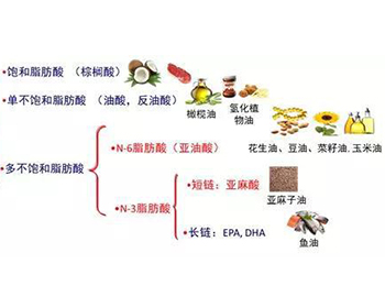 37种脂肪酸检测,脂肪酸定性定量检测,脂肪酸测定服务
