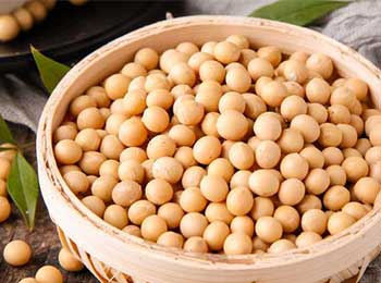 卵磷脂含量检测,磷脂酰胆碱含量检测,大豆磷脂溶血磷脂酰胆碱检测