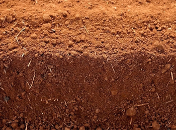 土壤有机质测定及有机质的作用