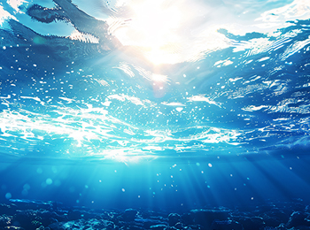 海水叶绿素 a 检测结果如何解读？数值高低代表什么生态意义