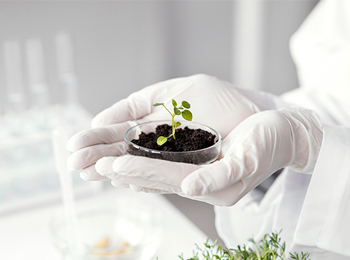 植物元素分析:从土壤到叶片的营养密码解读