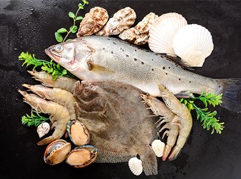 虾肉营养成分检测：脂肪酸、氨基酸与质构分析​