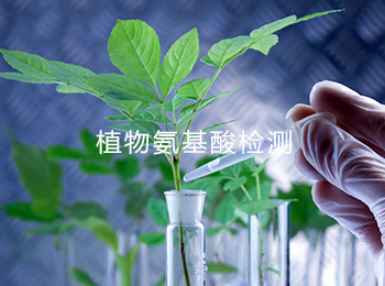 植物组织中游离氨基酸总量检测