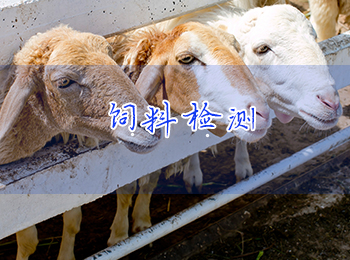 饲料检测：营养成分、安全卫生与功能特性全解析