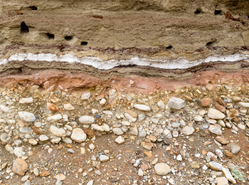 海底沉积物蛋氨酸含量测定及氨基酸检测全解析