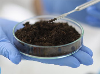 土壤与秸秆DOM检测：胡敏酸、富里酸、胡敏素的组分量化分析