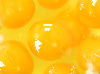 鸡蛋黄37种脂肪酸检测：脂肪酸谱分析与营养评价方案