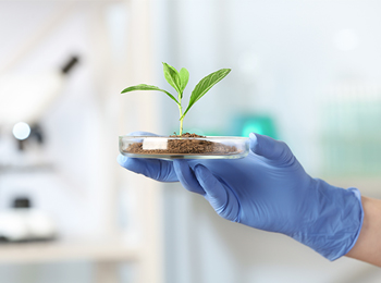 植物检测|植株全氮全磷全钾及籽粒5项品质指标科研测定