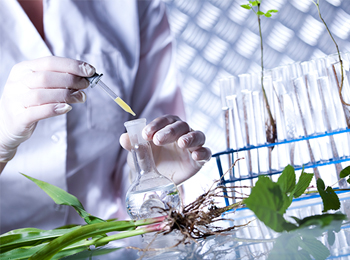 植物检测：盐胁迫研究视角下的常规理化、酶活与激素检测