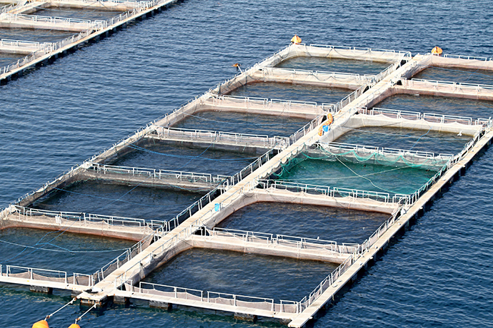 水产饲料检测