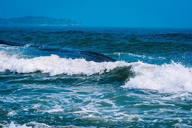 海水检测